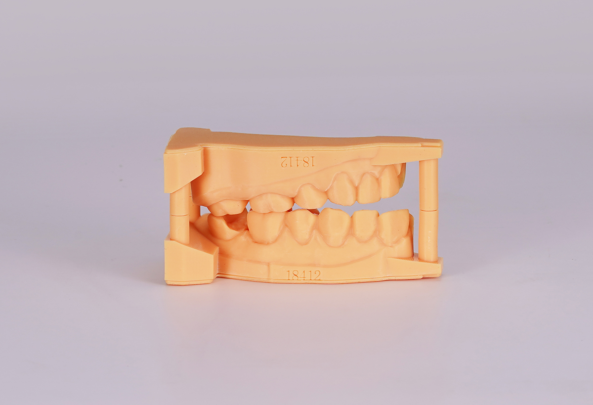 Modelo dental superior e inferior impreso en resina